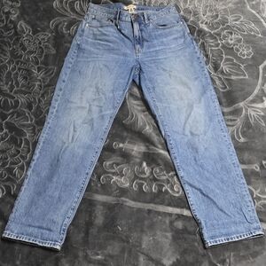 Madewell The Slouchy Boyjean Size 28